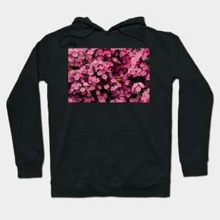 Pink Posies Hoodie